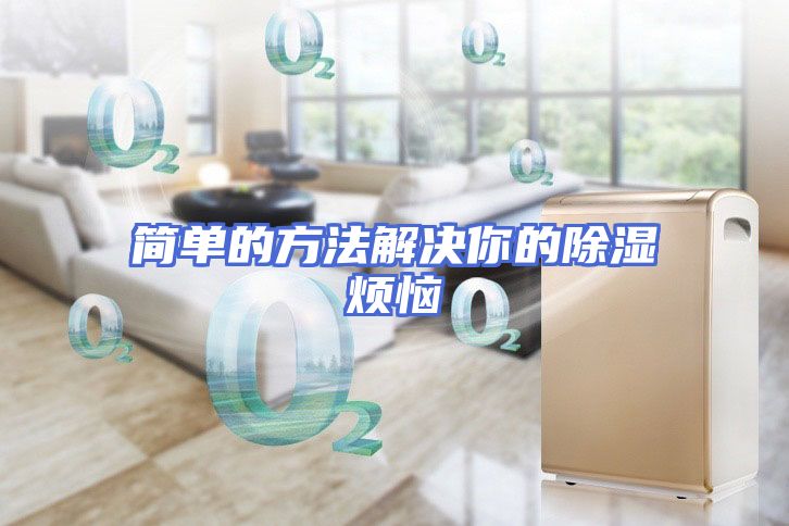 简单的方法解决你的除湿烦恼