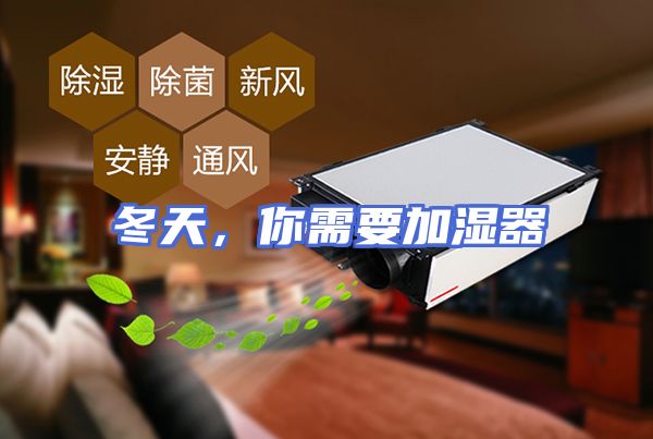 冬天，你需要加湿器
