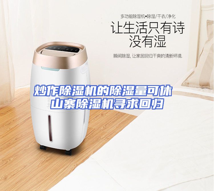炒作除湿机的除湿量可休 山寨除湿机寻求回归