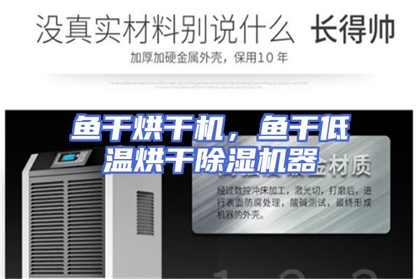 鱼干烘干机，鱼干低温烘干除湿机器