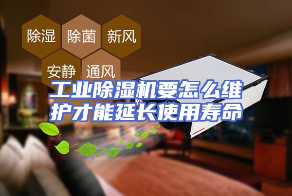 工业除湿机要怎么维护才能延长使用寿命