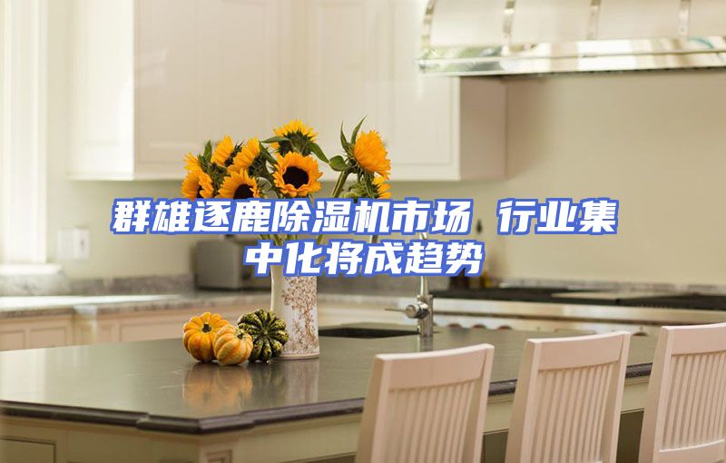 群雄逐鹿除湿机市场 行业集中化将成趋势