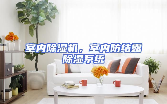 室内除湿机,室内防结露除湿系统