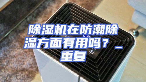 除湿机在防潮除湿方面有用吗?_重复