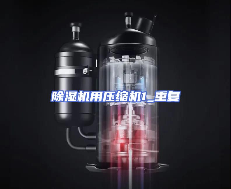 除湿机用压缩机1_重复