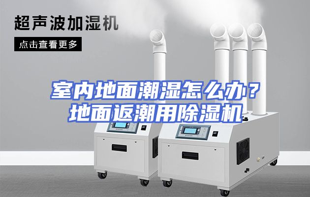 室内地面潮湿怎么办？地面返潮用除湿机
