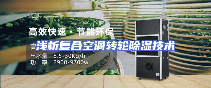 浅析复合空调转轮除湿技术