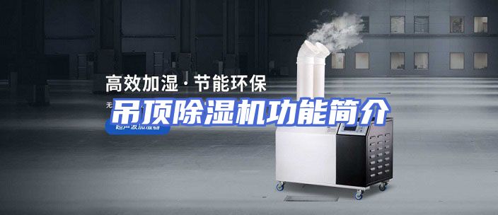 吊顶除湿机功能简介