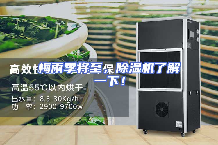 梅雨季将至，除湿机了解一下！