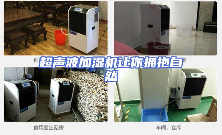 超声波加湿机让你拥抱自然