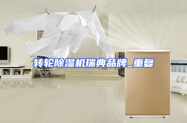 转轮除湿机瑞典品牌_重复