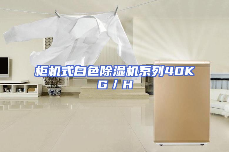 柜机式白色除湿机系列40KG／H
