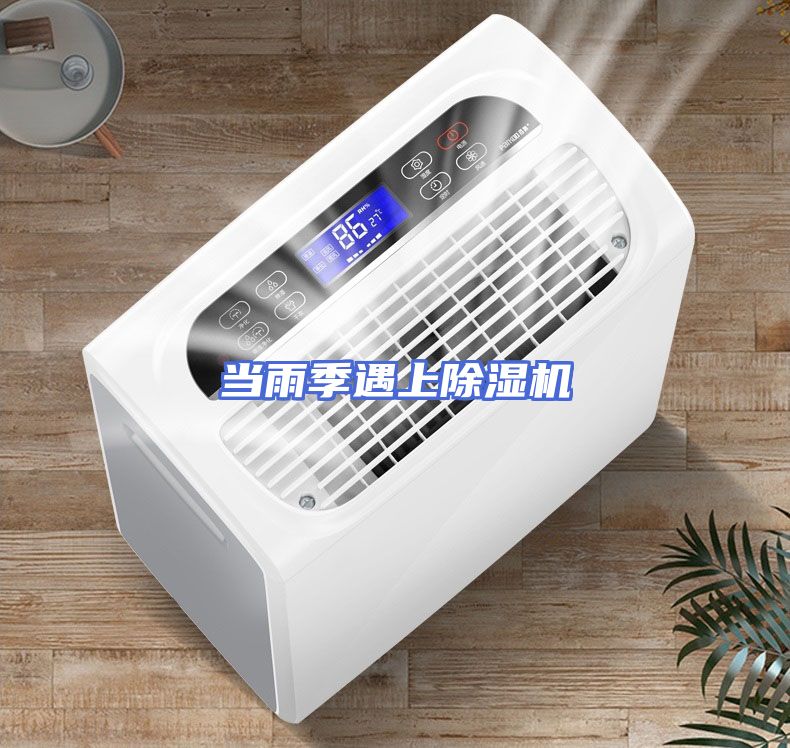当雨季遇上除湿机