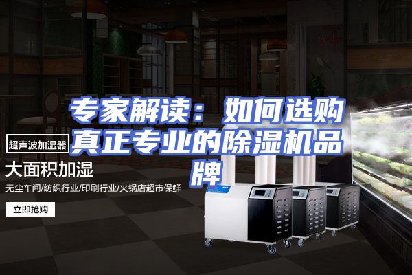 专家解读:如何选购真正专业的除湿机品牌