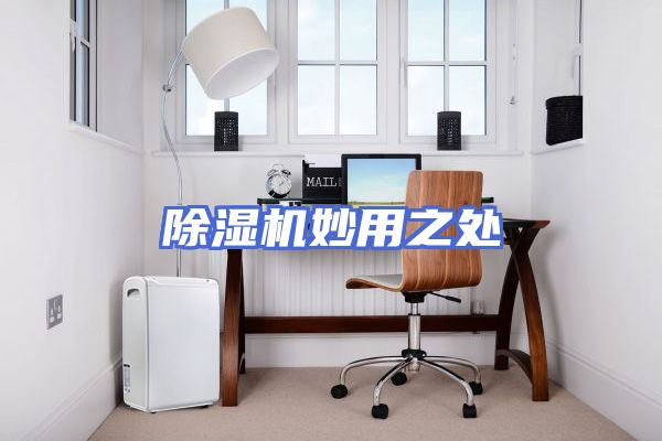 除湿机妙用之处