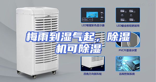 梅雨到湿气起，除湿机可除湿