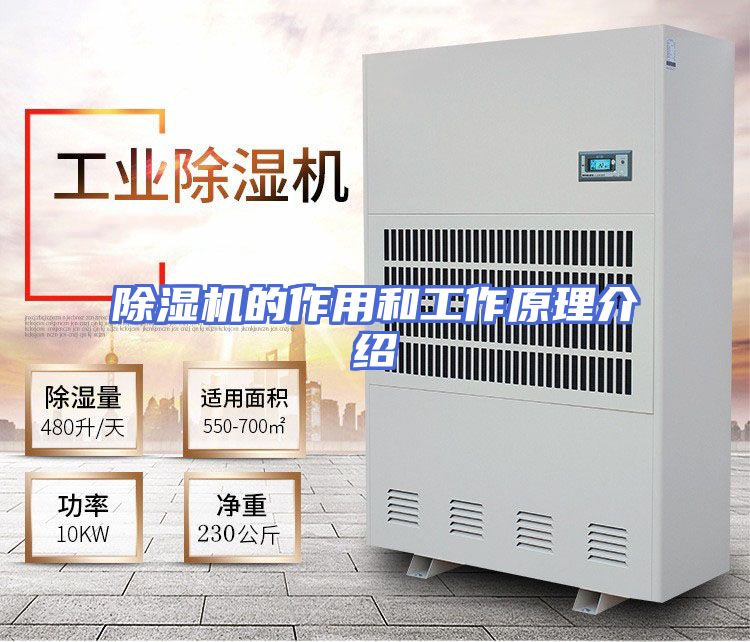 除湿机的作用和工作原理介绍