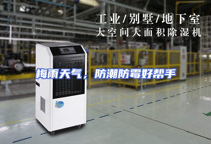 梅雨天气,防潮防霉好帮手