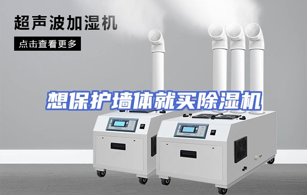 想保护墙体就买除湿机