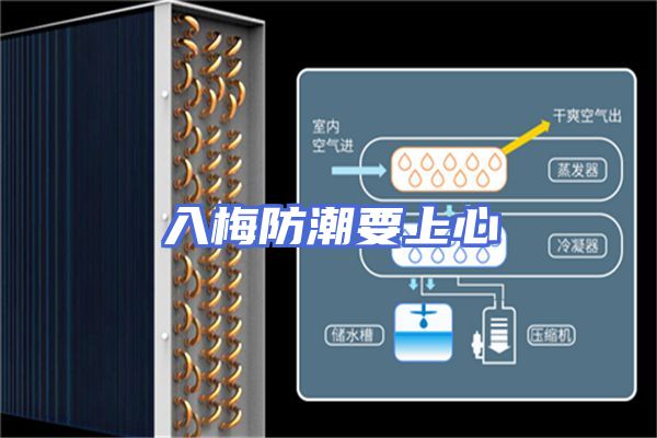 入梅防潮要上心