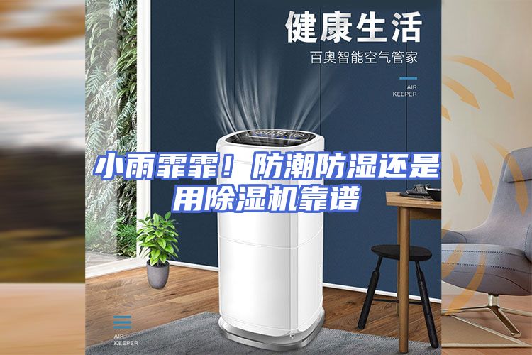 小雨霏霏！防潮防湿还是用除湿机靠谱