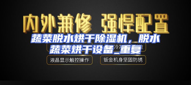 蔬菜脱水烘干除湿机，脱水蔬菜烘干设备_重复