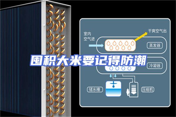 囤积大米要记得防潮