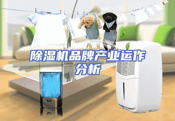 除湿机品牌产业运作分析