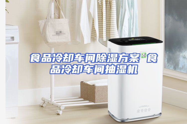 食品冷却车间除湿方案 食品冷却车间抽湿机