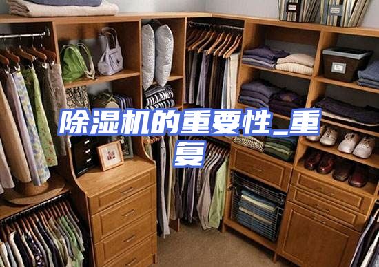 除湿机的重要性_重复