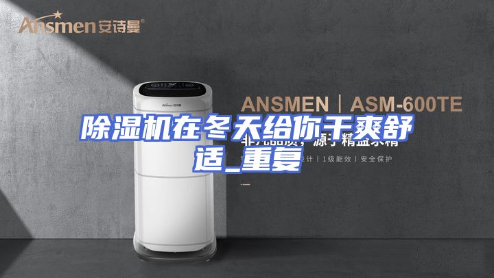 除湿机在冬天给你干爽舒适_重复