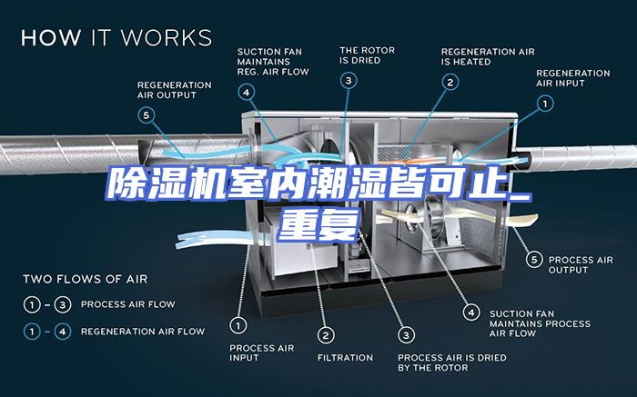除湿机室内潮湿皆可止_重复