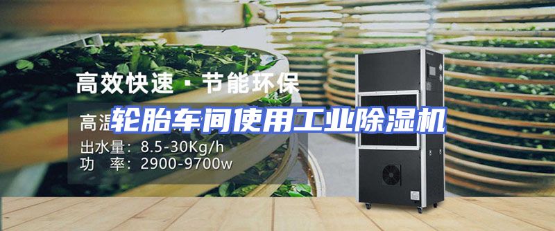 轮胎车间使用工业除湿机