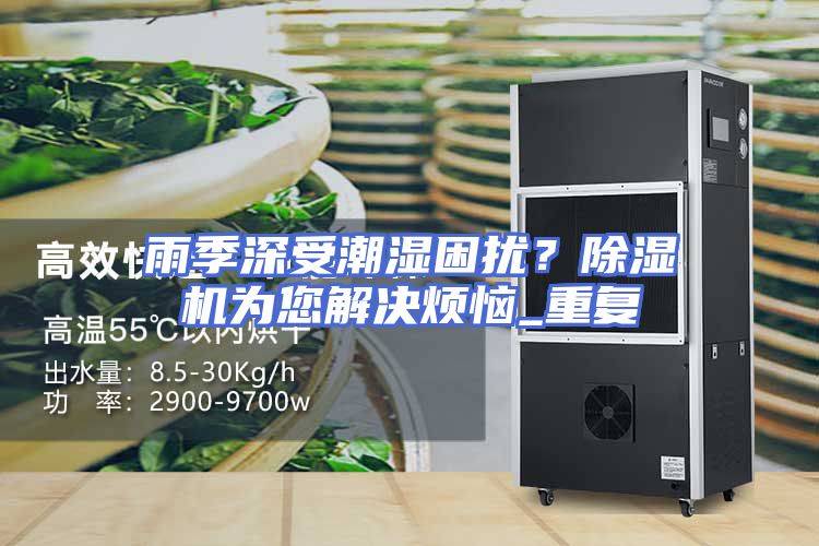 雨季深受潮湿困扰？除湿机为您解决烦恼_重复