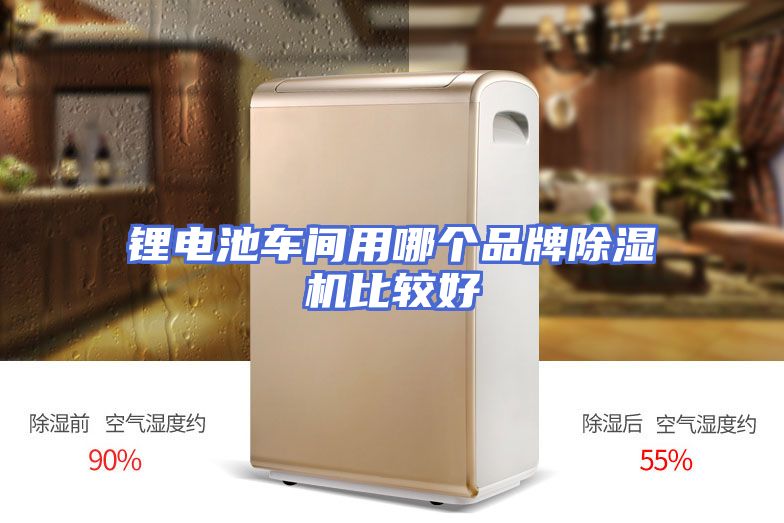 锂电池车间用哪个品牌除湿机比较好