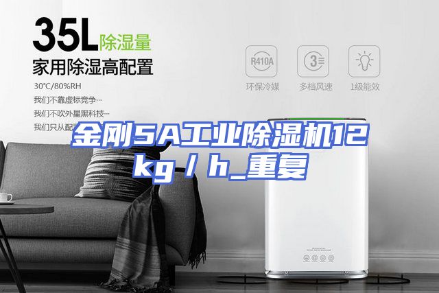 金刚5A工业除湿机12kg/h_重复