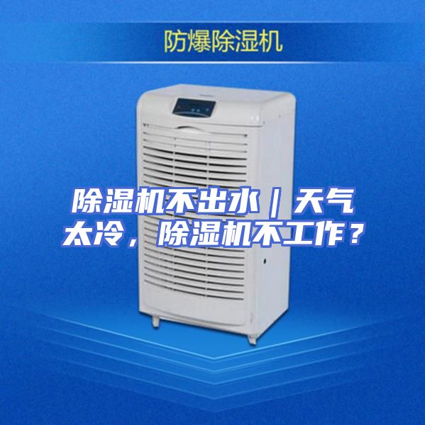 除湿机不出水｜天气太冷，除湿机不工作？