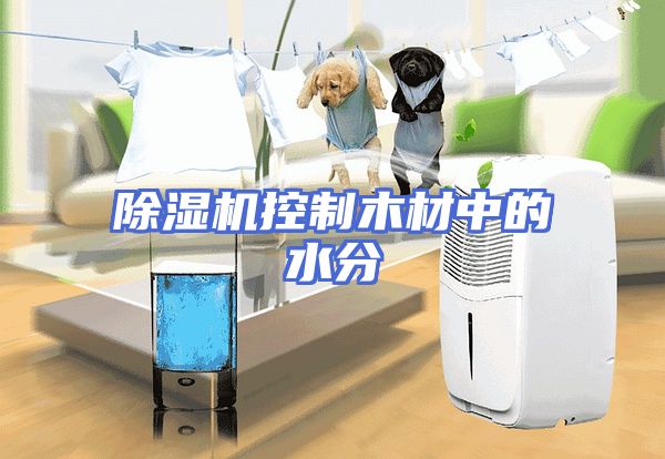 除湿机控制木材中的水分