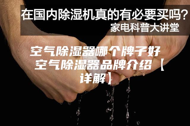 空气除湿器哪个牌子好 空气除湿器品牌介绍【详解】