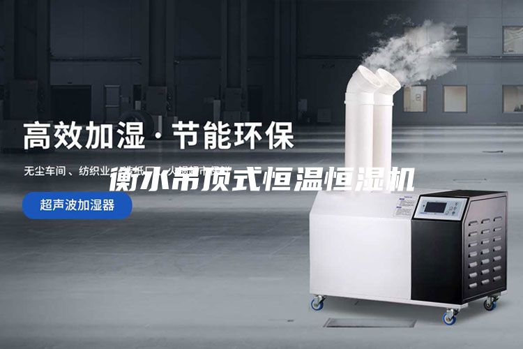 衡水吊顶式恒温恒湿机