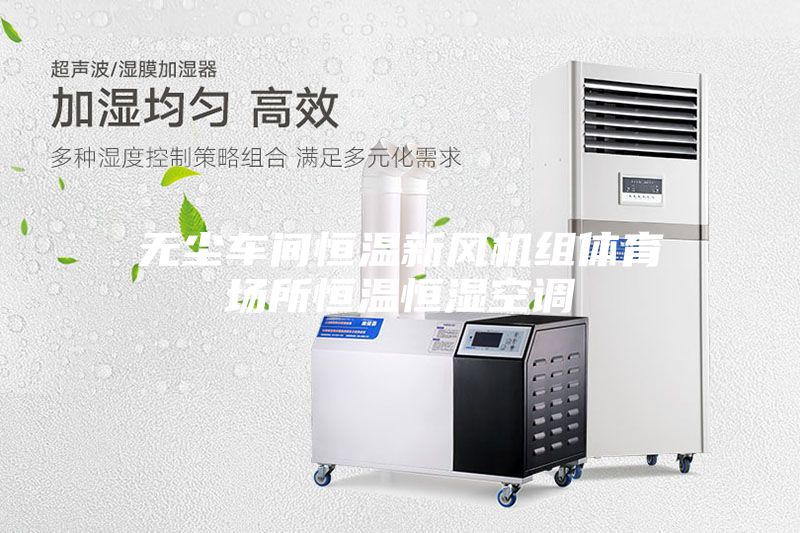 无尘车间恒温新风机组体育场所恒温恒湿空调