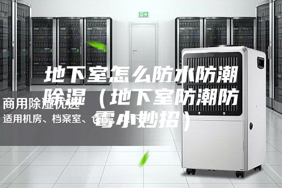 地下室怎么防水防潮除湿（地下室防潮防霉小妙招）