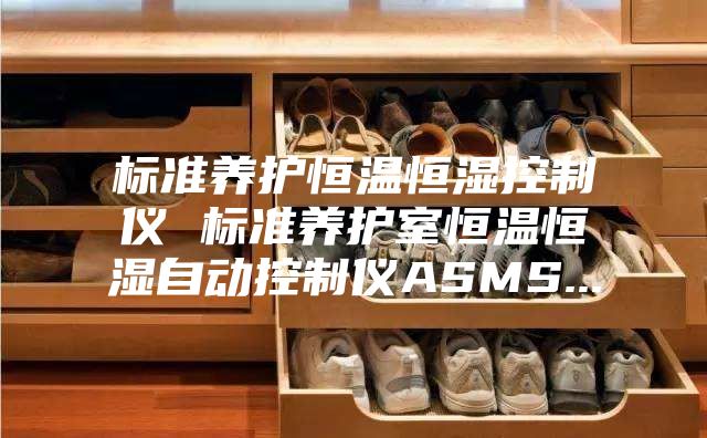 标准养护恒温恒湿控制仪 标准养护室恒温恒湿自动控制仪ASMS...