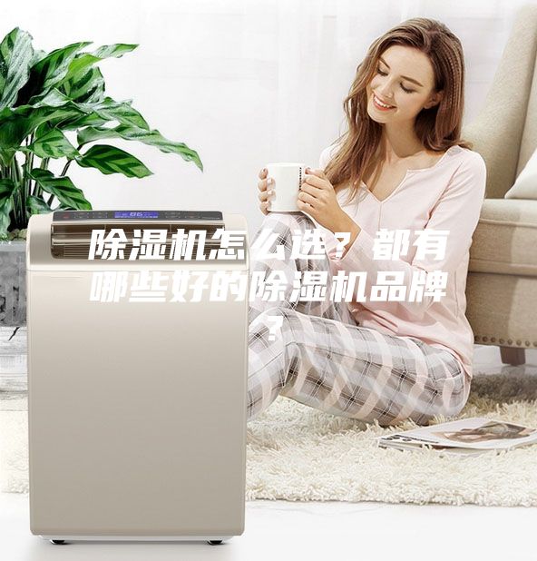 除湿机怎么选？都有哪些好的除湿机品牌？