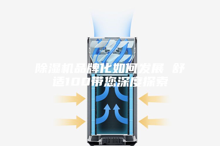 除湿机品牌化如何发展　　舒适100带您深度探索