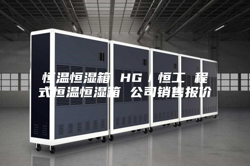恒温恒湿箱 HG／恒工 程式恒温恒湿箱 公司销售报价