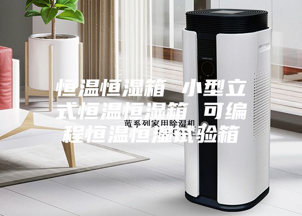 恒温恒湿箱 小型立式恒温恒湿箱 可编程恒温恒湿试验箱