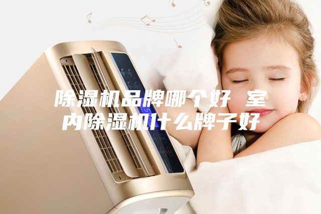 除湿机品牌哪个好 室内除湿机什么牌子好