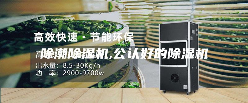 除潮除湿机,公认好的除湿机