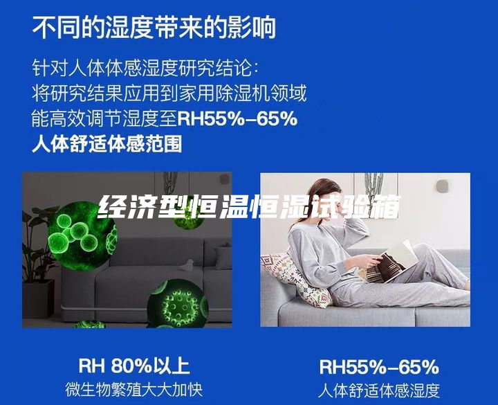 经济型恒温恒湿试验箱